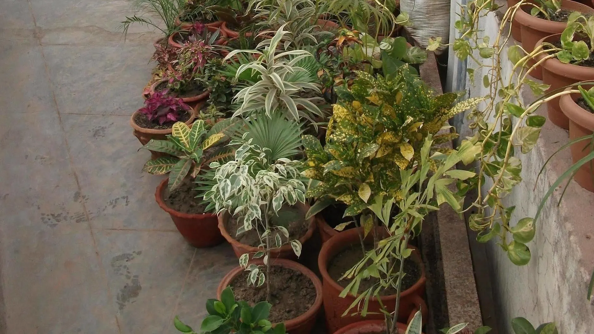 Hotel Shanti Palace Varanasi